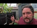 Container Gardening, Done Right | Off Grid Centrally Irrigated GroBuckets