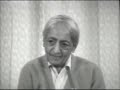 What am I to do in this violent world? | J. Krishnamurti