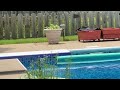 Bird jumping off the diving board into my pool.