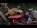 Building a Primitive Bushcraft Shelter: Camping, Outdoor FIREPLACE,Wolf and My Dog - ASMR
