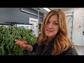 Repotting a 200 Year Old Christmas Cactus! 😱🌵😍 // Garden Answer