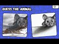 Guess the Hidden Animals by ILLUSIONS | Optical Illusion Hard Quiz