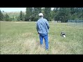 Whistle Commands Demo -- How to Whistle -- Field Examples -- Dog -- Stock Work -- Border Collie