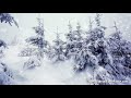 Winter Storm White Noise | Sleep, Study or Focus with Wind & Snowstorm Sounds | 10 Hours
