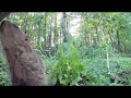 ASMR Surprising a Groundhog with his own Garden ! 🥬🦫🕳