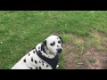 Playing catch at the park with Jake!