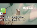 [[P O P ｃａｔ]] substituiu (:000) a L I X E I R A (titulo exagerado)