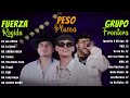 Fuerza Regida, Peso Pluma, Grupo Frontera - Grandes éxitos Mix 2024 -  LAS MEJORES CANCIONES 2024