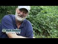 Mark Shepard - Agroforestry Farm Tour Video Series