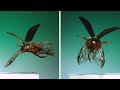 Moths & Beetles in Flight! 6k fps