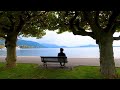 Free your mind & fall asleep instantly🌳Absolute relaxation with  nature sounds and healing music