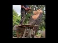There are no mistakes only growth opportunities in life and in art #ChainsawCarving #LiveEdge￼￼