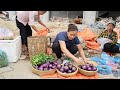 Harvest round eggplant & Vegetables shrinkage Goes to market sell - Animal care in farm