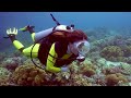 Aquarium 4K VIDEO(ULTRA HD)🐠 Beautiful Relaxing Coral Reef Fish - Relaxing Sleep Meditation Music