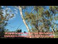 Big Sky DX'pedition - Darling River (Anabranch South) NSW