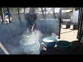 Before the Dawn: Transforming Oshamukweni Combined School in Northern Namibia