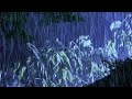 Fall Asleep Quickly with a Sudden Thunderstorm & Sound Rain Sounds on a Corrugated Iron Roof House