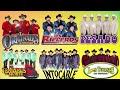 Los Originales De San Juan, Los Rieleros Del Norte, Grupo Pesado, Los Traileros Del Norte, Intocable