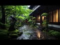 Listen to the rain in the Japanese garden. Sound of rain, concentration, sounds of nature