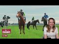 BREEDING NEW STEEPLECHASE HORSES! - Rival Stars Horse Racing | Pinehaven