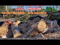 Effortless Truckload of #firewood less than5minutes