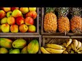 what is the healthiest fruit to eat on an empty stomach