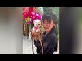 Tik Tok Chó Phốc Sóc Mini 😍 Funny and Cute Pomeranian 2024