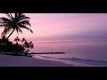 Tropical Beach》Pink Skies and Ocean Waves