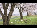 Spring Jazz 🌸 [Playlist] Jazz that came with sunny spring | Today is beautiful.. I am attracted to