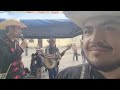 Ya Es Domingo!! 🎻💐 Es Hora De Bailar Huapango! REVIVE Lo Mejor De Los Domingos En Xilitla