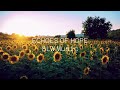 Echoes of Hope - SLW Music (Hopeful Piano Music - Calming Strings Orchestra Music)