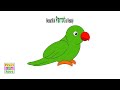 Learn How to draw Parrot in a Simple Way