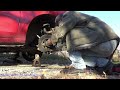 2014 Mazda 5 Wheel Bearing - DIY Pressed Bearing Replacement - Auto Repair
