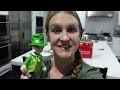 We Caught a Leprechaun on St Patrick's Day!!