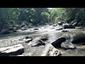relaxing sounds nature with music piano,calming water sound for sleeping