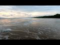 🌿４K 🌿Way of Pilgrimage  / Soothing Ocean Wave ambience from the tropical rainforest
