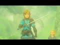 Zelda: Tears of the Kingdom - All Zelda & Link Scenes