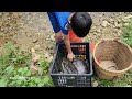 Bac created a fish trap using rocks and a plastic basket, catching fish in a large stream.