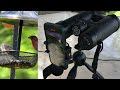 Timorn 10x42 Binoculars with Phone Adapter