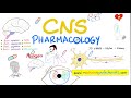 Innate Immunity vs Adaptive Immunity | Complement System | Physiology Lectures Series