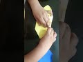 Bird plane origami