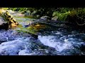 Relaxing River Sounds 24/7, Flowing Water and Forest Creek Ambience, White Noise for Sleeping, ASMR
