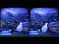 3D The Wonderful World of Ocean - Aquarium VR Videos 3D SBS [Google Cardboard VR Experience] VR Box