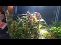 3 gal office aquarium