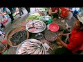 Famous Cambodian street food 2024 - Delicous Plenty Fruits, Fish, Pork, Vegetables @ market