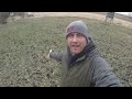 Food Plot Tip | Frost Seeding Clover into Winter Rye