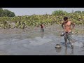 The scene of fishing between the bill in the village of Bangladesh -Greatest Fishing Videos of All T