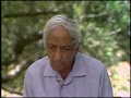 J. Krishnamurti - Ojai 1983 - Public Q&A 2
