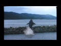 Free Willy (1993) Official Trailer - Michael Madsen Movie