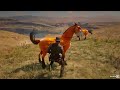 RDR 2 | BEST HORSE TAMER | JOHN MARSTON | CUSTOM HORSE